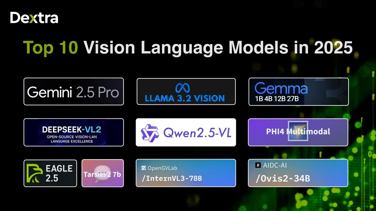 Vision Language Models