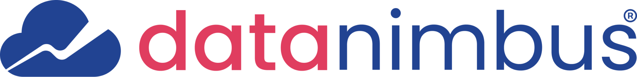 Data Nimbus Logo